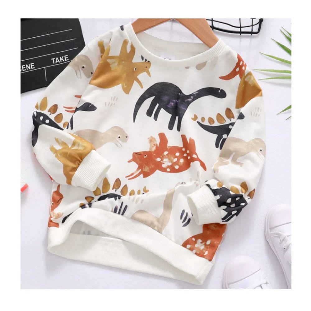Boys Long Sleeve Dinosaur Top